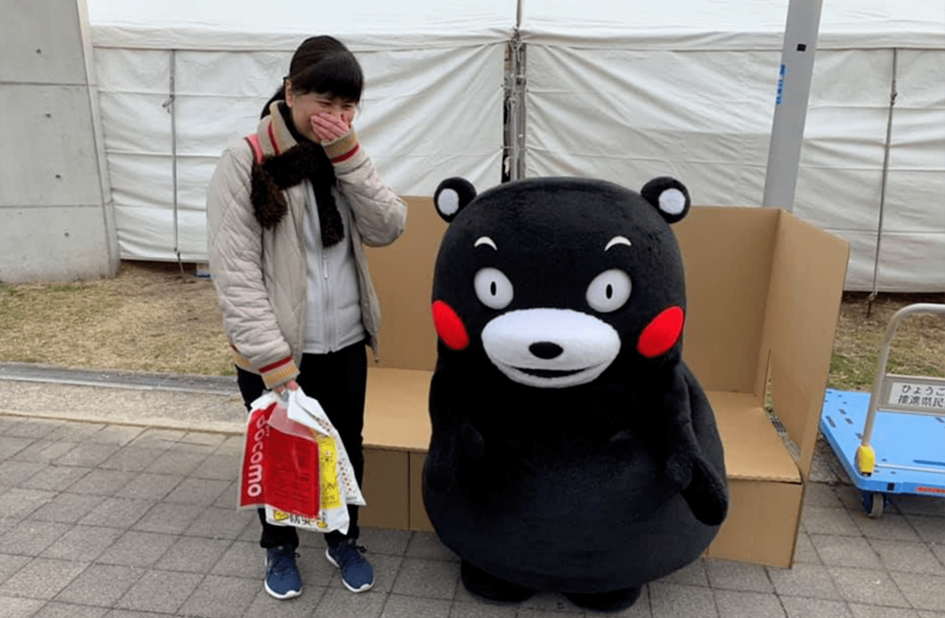個別案件 (1)